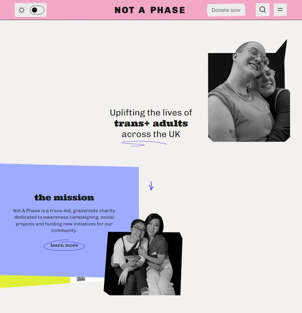 Il design del flusso di donazione di Not A Phase